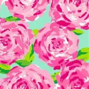 ✧あんこ✧