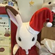 ことりさんの画像