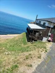 ミハの画像