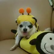 大和ママ