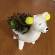 ゆう