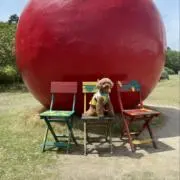 こんの画像