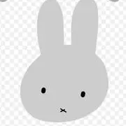 ぱぴこの画像