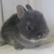 まっしゅ