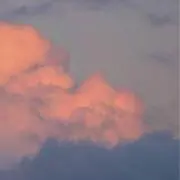 ぺこ(値下げ・まとめ対応可◎)の画像