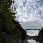 Mの画像