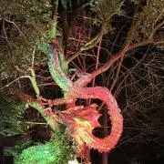 あみか☆即購入大歓迎☆の画像