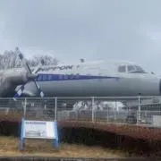 うがねーねの画像