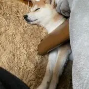 カズキの画像