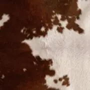 エペ
