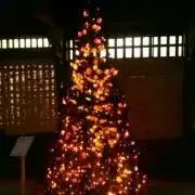自家製【価格交渉受付中】の画像