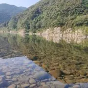 バグアリスの画像