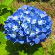 サランサラン【出品お休み中】