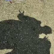 くく