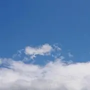 こんまの画像