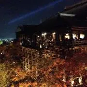 ちゃむ(´ω｀)