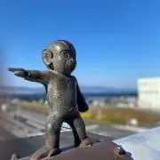 STARの画像