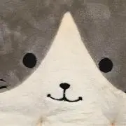 ナカノシマの画像