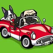 ☆kuropug☆