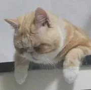 カオリ