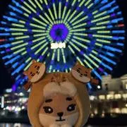 ヴィナの画像