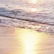 Bの画像