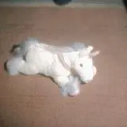 もくの画像