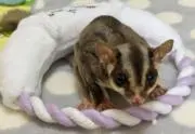 みるまろの画像