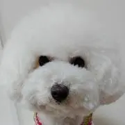 もこ