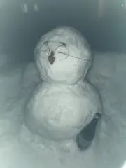 きむ