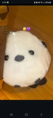 Tinaの画像