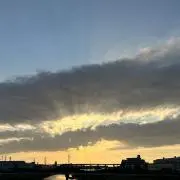 Dの画像