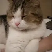 Mの画像