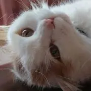 あっこ☆