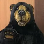 にっし