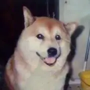 まるの画像