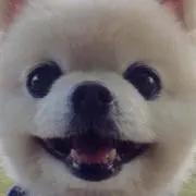 タモ♡プロフ必読！