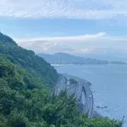 トウの画像