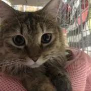 プロフ必読❣️hana's shopの画像