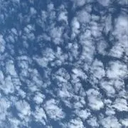 やの画像