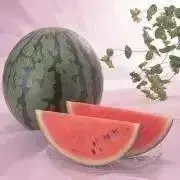 SUIの画像