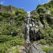 Nakataの画像