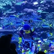 keypeyの画像
