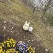 みかん