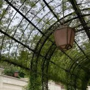 吉川の画像