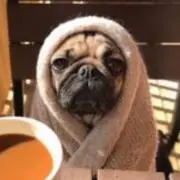fuutaの画像