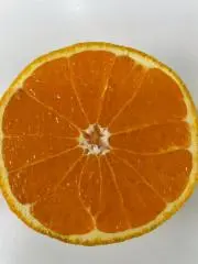 いつきの画像