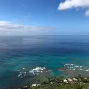 U⭐︎の画像