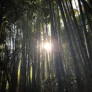 note セット割引大歓迎の画像