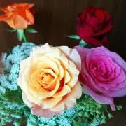 fleurの画像